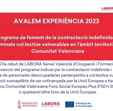 ayuda concedida Avalem Experiencia