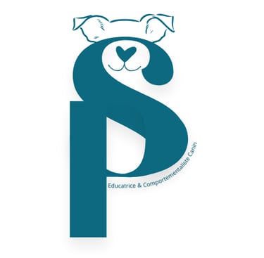 sandrine perrin éducatrice canin