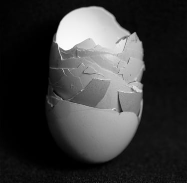Anita Papp's still life featuring delicate eggshells, exploring fragility and the quiet beauty of or