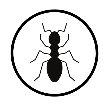 traitement fourmis