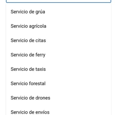 agregar mi negocio a google maps