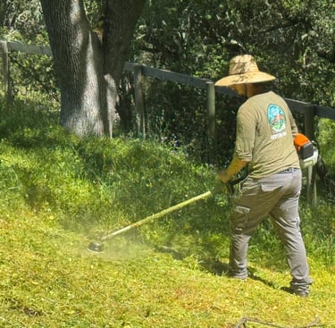 weed whacking