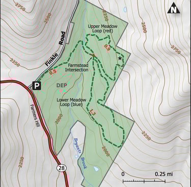 Palmer Hill Trail