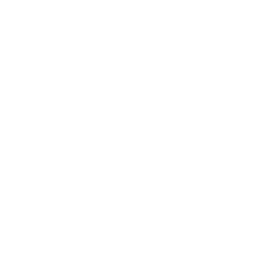 Aerialogists logo - design by Jerry Gibbons