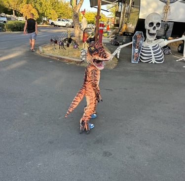 kid in costume halloween camping