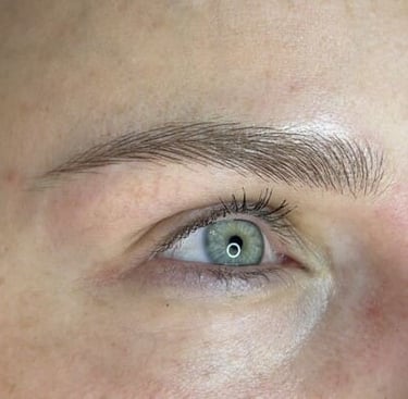 Micropigmentacion de cejas close up