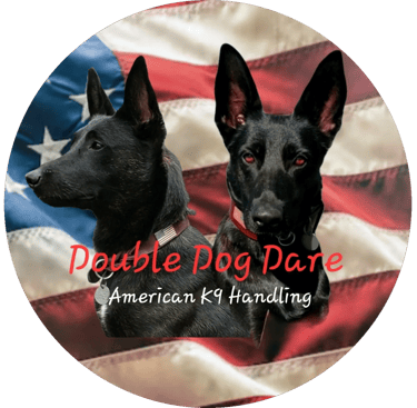 2 Dutch Shepherds and American flag Logo