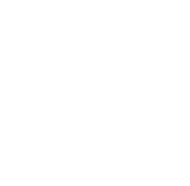 Butterfly Table Tennis