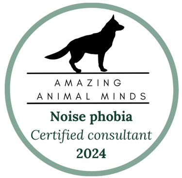 Noise phobia consultant 2024 badge