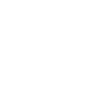 Carolina Wissner Creative