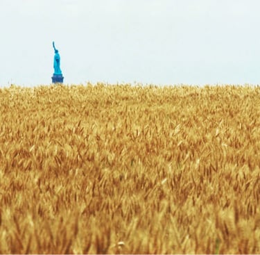 Agnes Denes a statue of liberty in a field of wheat