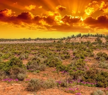 image of kalgoorlie desert in evening