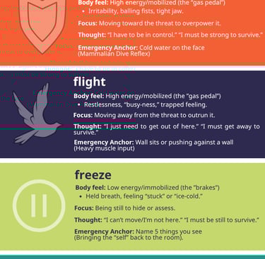 Educational poster of the 5Fs of Trauma
