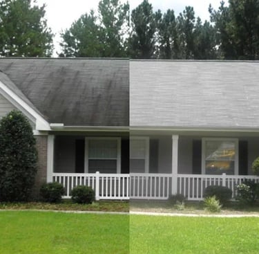Roof cleaning service Trinity, FL