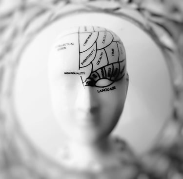 Materia Gris en el embarazo