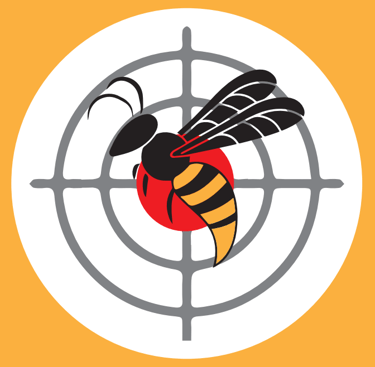 Destruction de guêpes et de frelons dans le Finistère