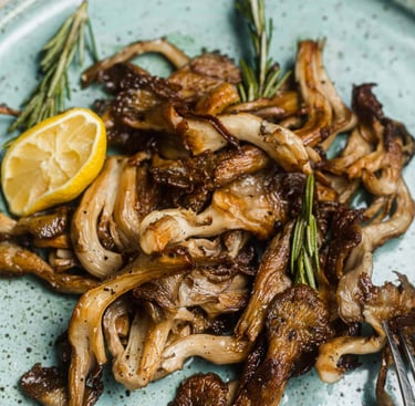 funghi ostrica cuneo