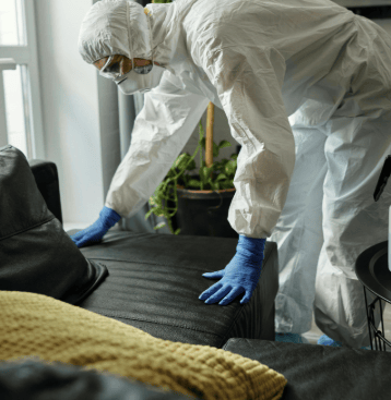 technicien en traitement anti punaises de lit à domicile