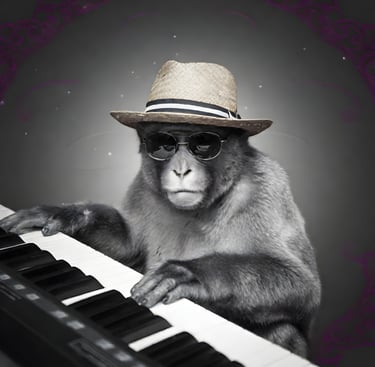 Monkey in sunglasses with a hat playing the Piano
