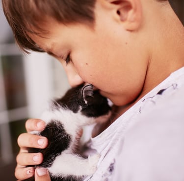 petit garcon tient un chaton noir et blanc sur son épaule