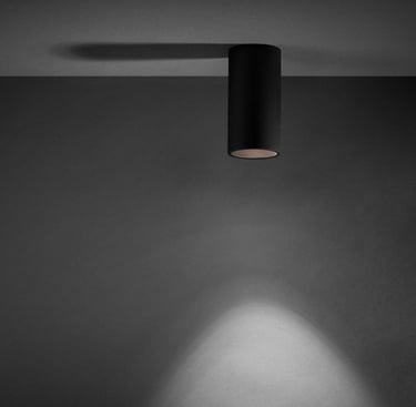 Foco de superficie cilíndrico LOB negro, con luz puntual directa de techo