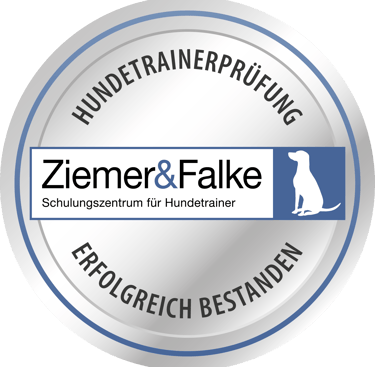 https://www.ziemer-falke.de/