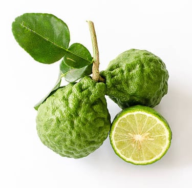 cumbava - recette coktail