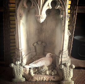 bird roosting in an old chair