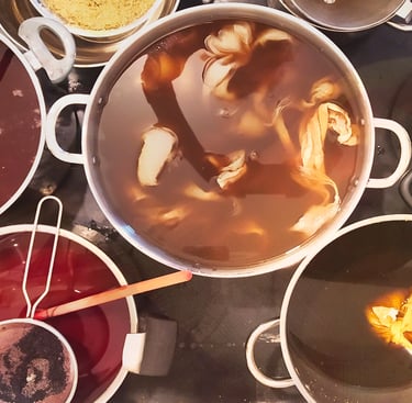 stages de teinture végétale