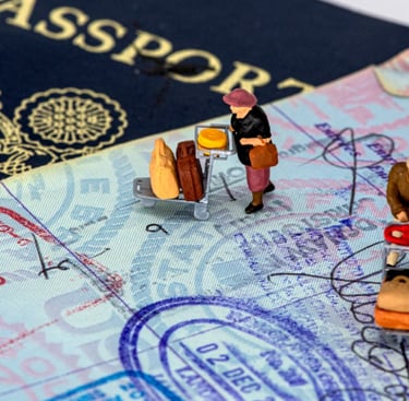 visa invitation letter