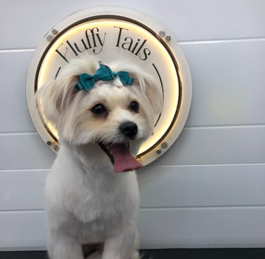 Puppy Grooming happy client