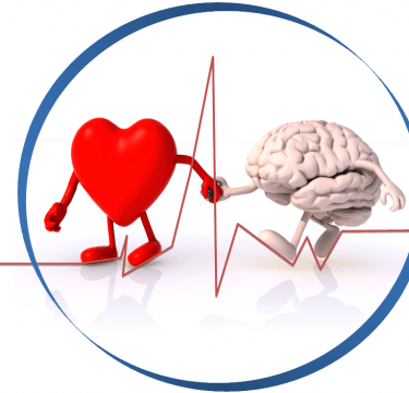 hartcoherentie relaxatie streesverlagend werk doordat hart informatie stuurt naar het brein