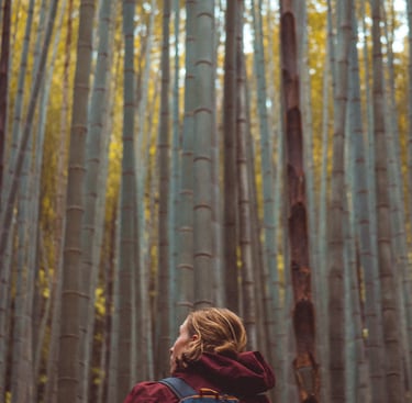 photographe orléans