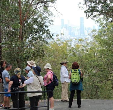 A group of walkers at the Summit lookout in Whites Hill reserve, Brisbane city skyline in view
