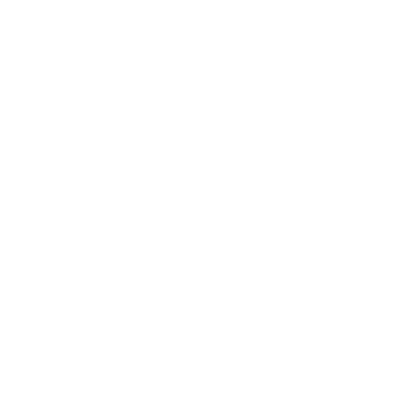 a chain link 