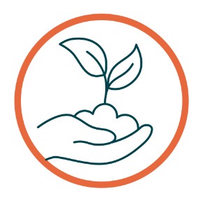 référencement naturel