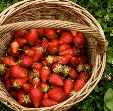 fraise
