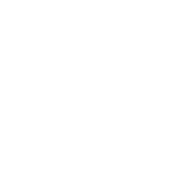 symbole SEO representant nos integration SEO
