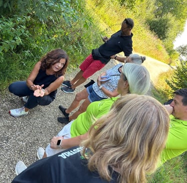 Demonstration der Wildpflanzen, sprich Kräuter, in der Natur. Erkennungsmerkmale und Anwendung