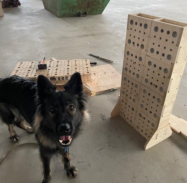 Altdeutscher Schäferhund und der Aufbau einer Holzwand als Alternative zur Ziegelwand