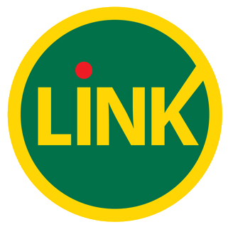 Logo Link 20 años