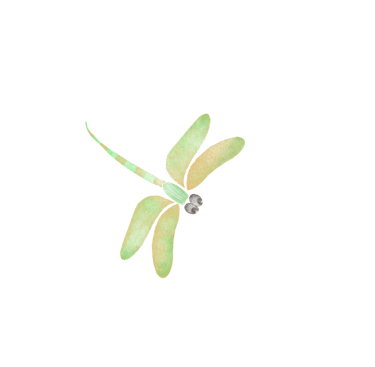 Green dragonfly illustration for art prints, greeting cards and stationery
