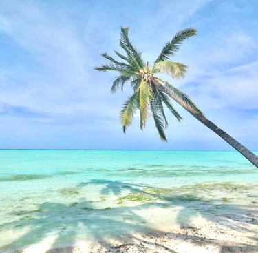 Palawan expedition tours – where every night feels like paradise