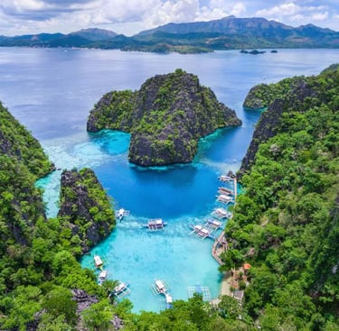 Snorkeling paradise between El Nido and Coron – tropical fish, sea turtles, and clear waters
