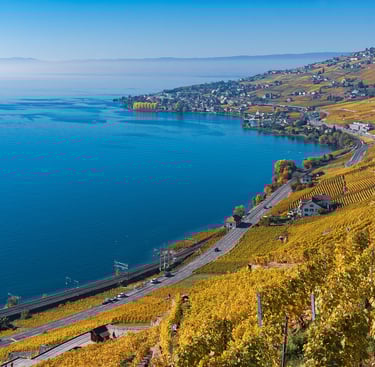Traitement de charpente et traitement des insectes du bois dans le canton de Vaud