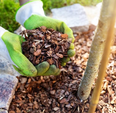 a person holding a handful of mulch in their hands
