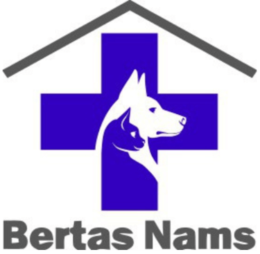 Bertas Nams logotipas