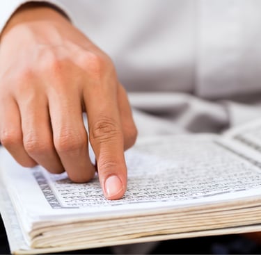 Tailored curriculum for Quran and Arabic