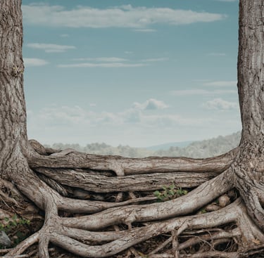 Intertwined tree roots showing strength and connectivity under a clear blue sky with mountains.