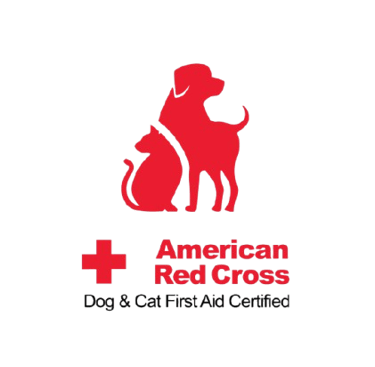 Red Cross